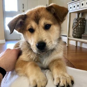 Meet your Posher, Nicole